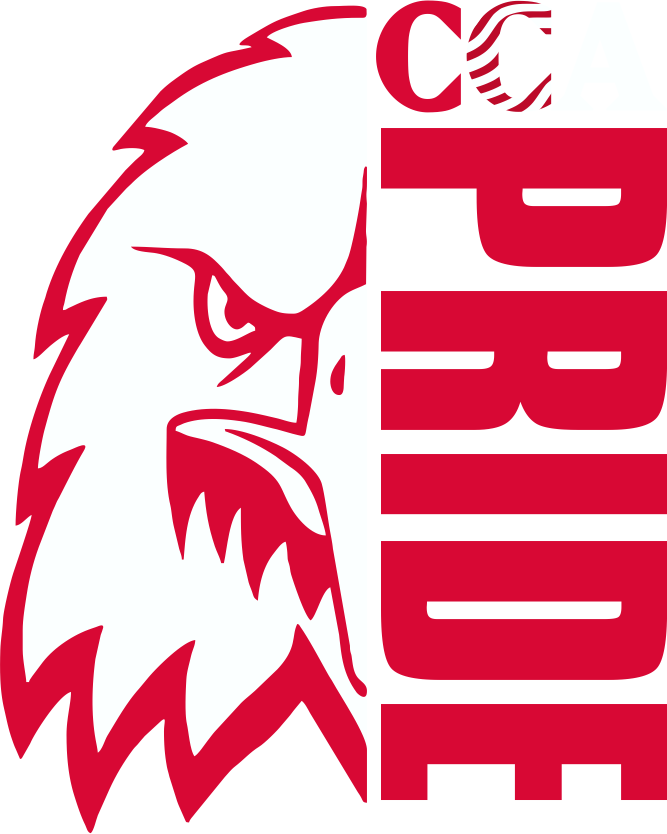 CCA PRIDE logo